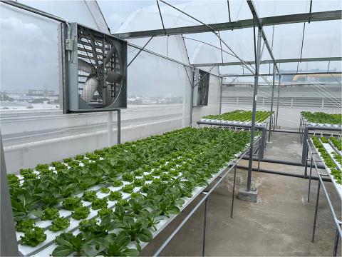 Farm and greenhouse ventilation fans